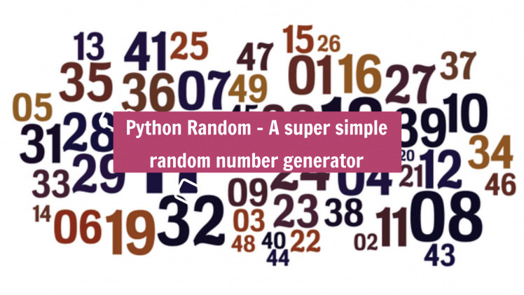 The Role of Randomness in Creating Dynamic Logic Puzzle Experiences